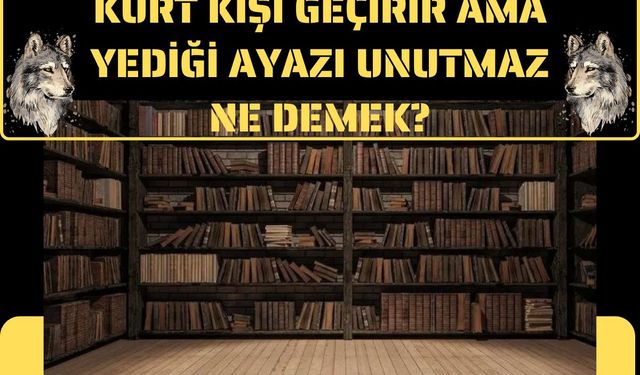 Kurt Kışı Geçirir Ama Yediği Ayazı Unutmaz Ne Demek?